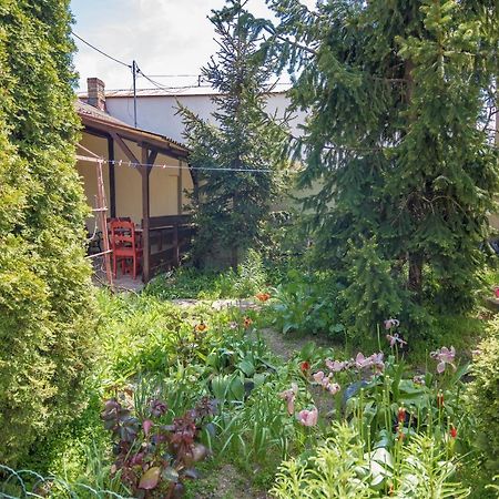 Old House Apartment Vama Veche Bagian luar foto