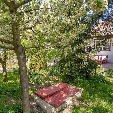 Old House Apartment Vama Veche Bagian luar foto