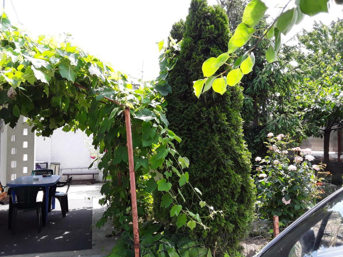 Old House Apartment Vama Veche Bagian luar foto